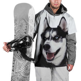 Накидка на куртку 3D с принтом Сибирский хаски в Екатеринбурге, 100% полиэстер |  | взгляд | голубые глаза | зима | сибирь | снег | собака | хаски | хаски бандит | холод