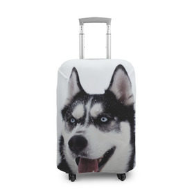 Чехол для чемодана 3D с принтом Сибирский хаски в Екатеринбурге, 86% полиэфир, 14% спандекс | двустороннее нанесение принта, прорези для ручек и колес | взгляд | голубые глаза | зима | сибирь | снег | собака | хаски | хаски бандит | холод