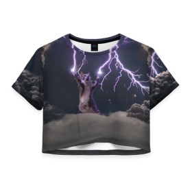 Женская футболка 3D укороченная с принтом Грозовой кошак в Екатеринбурге, 100% полиэстер | круглая горловина, длина футболки до линии талии, рукава с отворотами | lightning cat