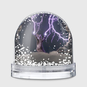 Водяной шар с принтом Грозовой кошак в Екатеринбурге, Пластик | Изображение внутри шара печатается на глянцевой фотобумаге с двух сторон | lightning cat