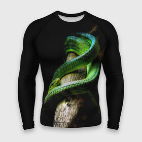 Мужской рашгард 3D с принтом Змея на груди в Екатеринбурге,  |  | гадюка | дерево | джунгли | зелёный змей | змея | кобра | природа | удав