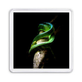 Магнит 55*55 с принтом Змея на груди в Екатеринбурге, Пластик | Размер: 65*65 мм; Размер печати: 55*55 мм | гадюка | дерево | джунгли | зелёный змей | змея | кобра | природа | удав