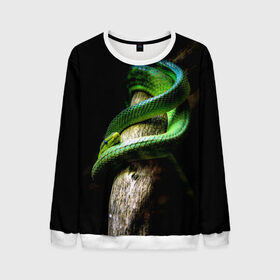 Мужской свитшот 3D с принтом Змея на груди в Екатеринбурге, 100% полиэстер с мягким внутренним слоем | круглый вырез горловины, мягкая резинка на манжетах и поясе, свободная посадка по фигуре | гадюка | дерево | джунгли | зелёный змей | змея | кобра | природа | удав