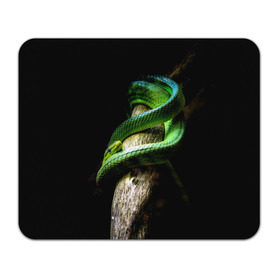 Коврик прямоугольный с принтом Змея на груди в Екатеринбурге, натуральный каучук | размер 230 х 185 мм; запечатка лицевой стороны | Тематика изображения на принте: гадюка | дерево | джунгли | зелёный змей | змея | кобра | природа | удав