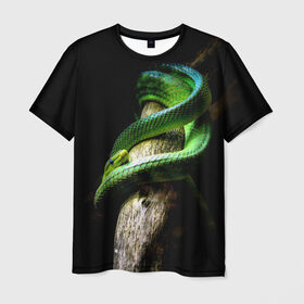 Мужская футболка 3D с принтом Змея на груди в Екатеринбурге, 100% полиэфир | прямой крой, круглый вырез горловины, длина до линии бедер | гадюка | дерево | джунгли | зелёный змей | змея | кобра | природа | удав