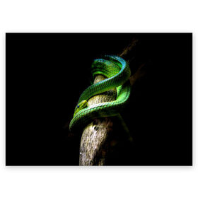 Поздравительная открытка с принтом Змея на груди в Екатеринбурге, 100% бумага | плотность бумаги 280 г/м2, матовая, на обратной стороне линовка и место для марки
 | Тематика изображения на принте: гадюка | дерево | джунгли | зелёный змей | змея | кобра | природа | удав