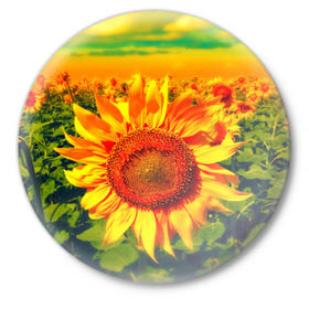 Значок с принтом Подсолнухи в Екатеринбурге,  металл | круглая форма, металлическая застежка в виде булавки | лето | подсолнух | поле | природа | цветок | яркая