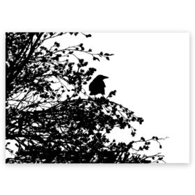 Поздравительная открытка с принтом Ворон в Екатеринбурге, 100% бумага | плотность бумаги 280 г/м2, матовая, на обратной стороне линовка и место для марки
 | ворон | ворона | галка | дерево | птица