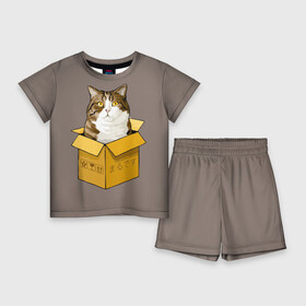 Детский костюм с шортами 3D с принтом Maru в Екатеринбурге,  |  | cat | maru | коробка | кот в коробке | кот мару | котейка | кошка | мару | прикол