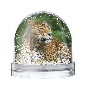 Снежный шар с принтом Леопард в Екатеринбурге, Пластик | Изображение внутри шара печатается на глянцевой фотобумаге с двух сторон | 