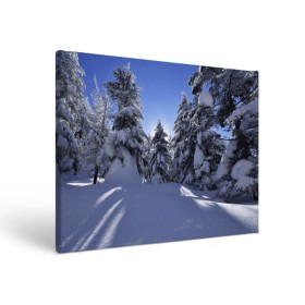 Холст прямоугольный с принтом Зимний лес в Екатеринбурге, 100% ПВХ |  | Тематика изображения на принте: времена года | ель | зима | леса | лучи света | природа | снег