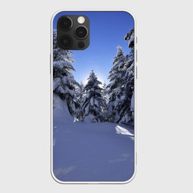 Чехол для iPhone 12 Pro Max с принтом Зимний лес в Екатеринбурге, Силикон |  | времена года | ель | зима | леса | лучи света | природа | снег