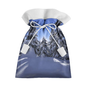 Подарочный 3D мешок с принтом Зимний лес в Екатеринбурге, 100% полиэстер | Размер: 29*39 см | Тематика изображения на принте: времена года | ель | зима | леса | лучи света | природа | снег