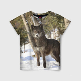 Детская футболка 3D с принтом Король леса в Екатеринбурге, 100% гипоаллергенный полиэфир | прямой крой, круглый вырез горловины, длина до линии бедер, чуть спущенное плечо, ткань немного тянется | Тематика изображения на принте: волки | животные | зима | зимние | картинки | снег | фото
