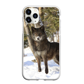 Чехол для iPhone 11 Pro Max матовый с принтом Король леса в Екатеринбурге, Силикон |  | Тематика изображения на принте: волки | животные | зима | зимние | картинки | снег | фото