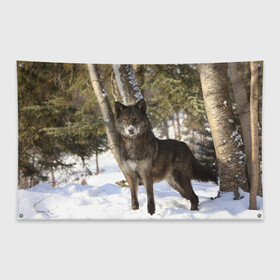 Флаг-баннер с принтом Король леса в Екатеринбурге, 100% полиэстер | размер 67 х 109 см, плотность ткани — 95 г/м2; по краям флага есть четыре люверса для крепления | Тематика изображения на принте: волки | животные | зима | зимние | картинки | снег | фото