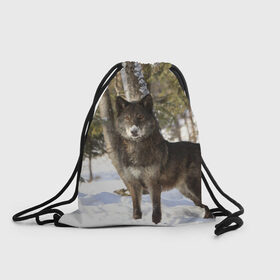 Рюкзак-мешок 3D с принтом Король леса в Екатеринбурге, 100% полиэстер | плотность ткани — 200 г/м2, размер — 35 х 45 см; лямки — толстые шнурки, застежка на шнуровке, без карманов и подкладки | волки | животные | зима | зимние | картинки | снег | фото