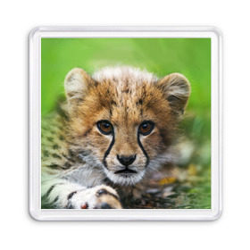Магнит 55*55 с принтом Котёнок гепарда в Екатеринбурге, Пластик | Размер: 65*65 мм; Размер печати: 55*55 мм | гепард | дикая кошка | котёнок | кошка | лев | природа | тигр | хищник | ягуар