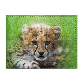 Обложка для студенческого билета с принтом Котёнок гепарда в Екатеринбурге, натуральная кожа | Размер: 11*8 см; Печать на всей внешней стороне | Тематика изображения на принте: гепард | дикая кошка | котёнок | кошка | лев | природа | тигр | хищник | ягуар