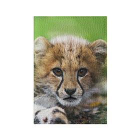 Обложка для паспорта матовая кожа с принтом Котёнок гепарда в Екатеринбурге, натуральная матовая кожа | размер 19,3 х 13,7 см; прозрачные пластиковые крепления | гепард | дикая кошка | котёнок | кошка | лев | природа | тигр | хищник | ягуар