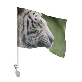 Флаг для автомобиля с принтом Белый тигр в Екатеринбурге, 100% полиэстер | Размер: 30*21 см | Тематика изображения на принте: абессинкая | домашние | животные | кот | котенок | кошка | порода | сиамская | тигр | хищник