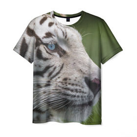 Мужская футболка 3D с принтом Белый тигр в Екатеринбурге, 100% полиэфир | прямой крой, круглый вырез горловины, длина до линии бедер | абессинкая | домашние | животные | кот | котенок | кошка | порода | сиамская | тигр | хищник