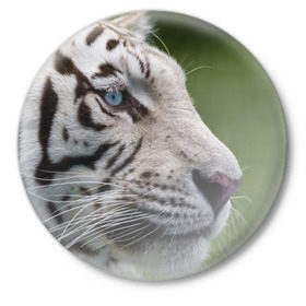 Значок с принтом Белый тигр в Екатеринбурге,  металл | круглая форма, металлическая застежка в виде булавки | Тематика изображения на принте: абессинкая | домашние | животные | кот | котенок | кошка | порода | сиамская | тигр | хищник