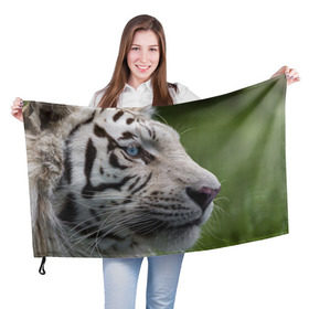 Флаг 3D с принтом Белый тигр в Екатеринбурге, 100% полиэстер | плотность ткани — 95 г/м2, размер — 67 х 109 см. Принт наносится с одной стороны | абессинкая | домашние | животные | кот | котенок | кошка | порода | сиамская | тигр | хищник