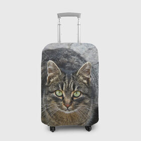 Чехол для чемодана 3D с принтом Серый котик в Екатеринбурге, 86% полиэфир, 14% спандекс | двустороннее нанесение принта, прорези для ручек и колес | 