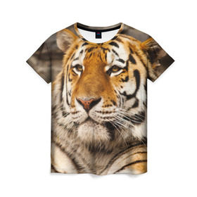 Женская футболка 3D с принтом Тигр в Екатеринбурге, 100% полиэфир ( синтетическое хлопкоподобное полотно) | прямой крой, круглый вырез горловины, длина до линии бедер | Тематика изображения на принте: амурский | животные | киса | кот | котенок | кошка | пума | рысь | серый | тигр | хищник