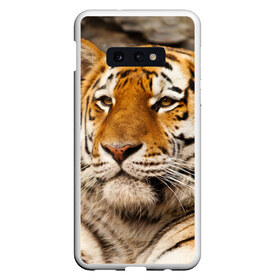 Чехол для Samsung S10E с принтом Тигр в Екатеринбурге, Силикон | Область печати: задняя сторона чехла, без боковых панелей | амурский | животные | киса | кот | котенок | кошка | пума | рысь | серый | тигр | хищник