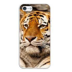 Чехол для iPhone 5/5S матовый с принтом Тигр в Екатеринбурге, Силикон | Область печати: задняя сторона чехла, без боковых панелей | амурский | животные | киса | кот | котенок | кошка | пума | рысь | серый | тигр | хищник