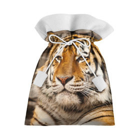Подарочный 3D мешок с принтом Тигр в Екатеринбурге, 100% полиэстер | Размер: 29*39 см | амурский | животные | киса | кот | котенок | кошка | пума | рысь | серый | тигр | хищник