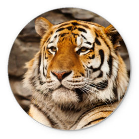 Коврик круглый с принтом Тигр в Екатеринбурге, резина и полиэстер | круглая форма, изображение наносится на всю лицевую часть | амурский | животные | киса | кот | котенок | кошка | пума | рысь | серый | тигр | хищник