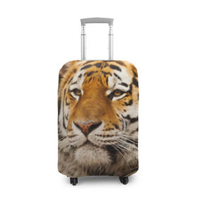 Чехол для чемодана 3D с принтом Тигр в Екатеринбурге, 86% полиэфир, 14% спандекс | двустороннее нанесение принта, прорези для ручек и колес | амурский | животные | киса | кот | котенок | кошка | пума | рысь | серый | тигр | хищник