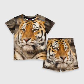 Детский костюм с шортами 3D с принтом Тигр в Екатеринбурге,  |  | амурский | животные | киса | кот | котенок | кошка | пума | рысь | серый | тигр | хищник