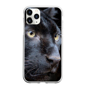 Чехол для iPhone 11 Pro матовый с принтом Черная пантера в Екатеринбурге, Силикон |  | животные | кис | киска | кот | котенок | котик | кошечка | кошка | пантера | рысь | тигр | хищник