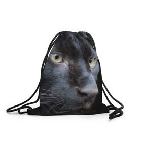 Рюкзак-мешок 3D с принтом Черная пантера в Екатеринбурге, 100% полиэстер | плотность ткани — 200 г/м2, размер — 35 х 45 см; лямки — толстые шнурки, застежка на шнуровке, без карманов и подкладки | животные | кис | киска | кот | котенок | котик | кошечка | кошка | пантера | рысь | тигр | хищник