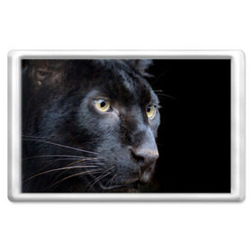 Магнит 45*70 с принтом Черная пантера в Екатеринбурге, Пластик | Размер: 78*52 мм; Размер печати: 70*45 | Тематика изображения на принте: животные | кис | киска | кот | котенок | котик | кошечка | кошка | пантера | рысь | тигр | хищник