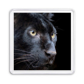 Магнит 55*55 с принтом Черная пантера в Екатеринбурге, Пластик | Размер: 65*65 мм; Размер печати: 55*55 мм | животные | кис | киска | кот | котенок | котик | кошечка | кошка | пантера | рысь | тигр | хищник
