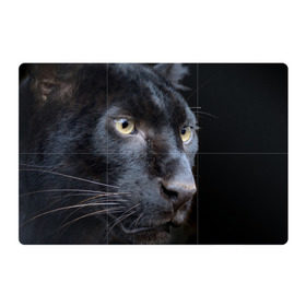 Магнитный плакат 3Х2 с принтом Черная пантера в Екатеринбурге, Полимерный материал с магнитным слоем | 6 деталей размером 9*9 см | Тематика изображения на принте: животные | кис | киска | кот | котенок | котик | кошечка | кошка | пантера | рысь | тигр | хищник