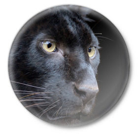 Значок с принтом Черная пантера в Екатеринбурге,  металл | круглая форма, металлическая застежка в виде булавки | животные | кис | киска | кот | котенок | котик | кошечка | кошка | пантера | рысь | тигр | хищник