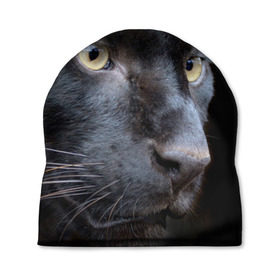 Шапка 3D с принтом Черная пантера в Екатеринбурге, 100% полиэстер | универсальный размер, печать по всей поверхности изделия | животные | кис | киска | кот | котенок | котик | кошечка | кошка | пантера | рысь | тигр | хищник