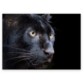 Поздравительная открытка с принтом Черная пантера в Екатеринбурге, 100% бумага | плотность бумаги 280 г/м2, матовая, на обратной стороне линовка и место для марки
 | животные | кис | киска | кот | котенок | котик | кошечка | кошка | пантера | рысь | тигр | хищник