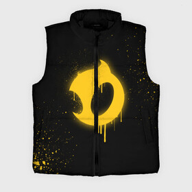 Мужской жилет утепленный 3D с принтом cs:go  Dignitas (Black collection) в Екатеринбурге,  |  | cs | csgo | dignitas | го | дигнитас | кс