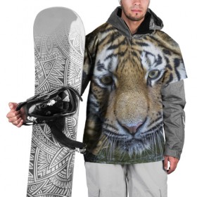 Накидка на куртку 3D с принтом Тигр в Екатеринбурге, 100% полиэстер |  | животные | кошка | лев | тигр | тигренок | тигрица | хищник