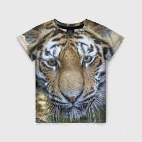 Детская футболка 3D с принтом Тигр в Екатеринбурге, 100% гипоаллергенный полиэфир | прямой крой, круглый вырез горловины, длина до линии бедер, чуть спущенное плечо, ткань немного тянется | животные | кошка | лев | тигр | тигренок | тигрица | хищник