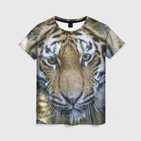 Женская футболка 3D с принтом Тигр в Екатеринбурге, 100% полиэфир ( синтетическое хлопкоподобное полотно) | прямой крой, круглый вырез горловины, длина до линии бедер | животные | кошка | лев | тигр | тигренок | тигрица | хищник