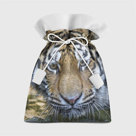 Подарочный 3D мешок с принтом Тигр в Екатеринбурге, 100% полиэстер | Размер: 29*39 см | Тематика изображения на принте: животные | кошка | лев | тигр | тигренок | тигрица | хищник