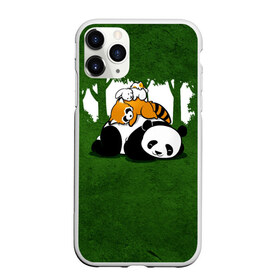 Чехол для iPhone 11 Pro матовый с принтом Милая панда в Екатеринбурге, Силикон |  | большая | джунгли | енот | зайка | милая | панда | пушистая